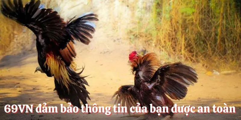 69VN đảm bảo thông tin của bạn được an toàn