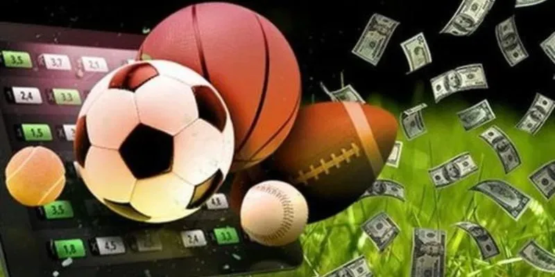 Kinh nghiệm cá cược thể thao toàn thắng từ các cao thủ