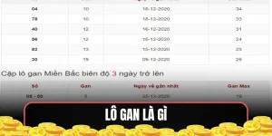 Lô gan là gì