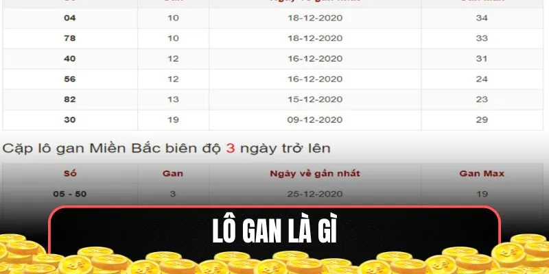 Lô gan là gì
