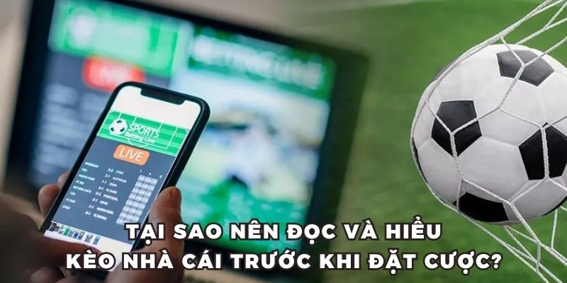Lý do nên đọc và hiểu về các loại tỷ lệ kèo
